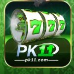 PK11 Game APK Download Official Logo